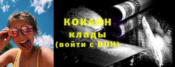прущие грибы Зерноград