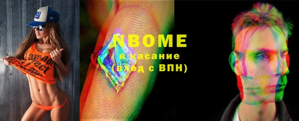 прущие грибы Зерноград