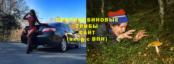 соль ск Зеленодольск