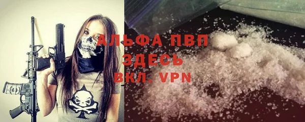 прущие грибы Зерноград