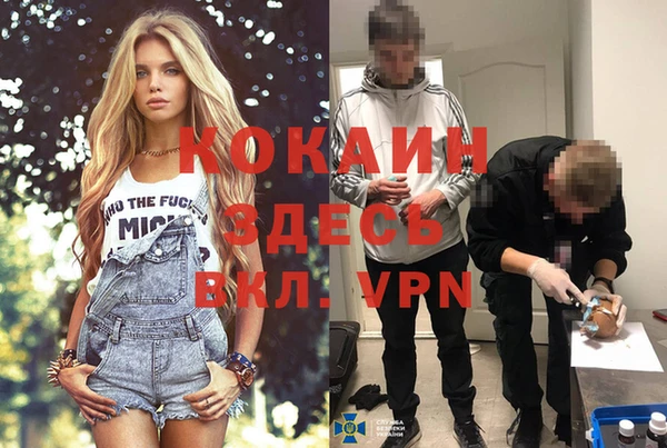 прущие грибы Зерноград