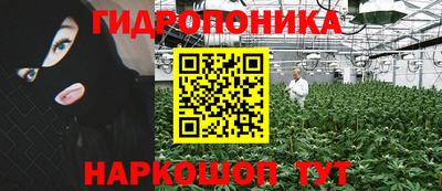 шишки Ипатово